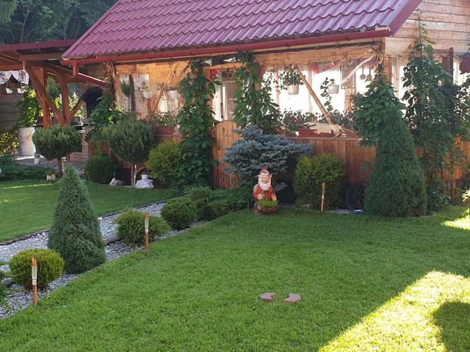 Pensiunea Gianina Арьешени Экстерьер фото